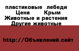 пластиковые  лебеди › Цена ­ 0 - Крым Животные и растения » Другие животные   